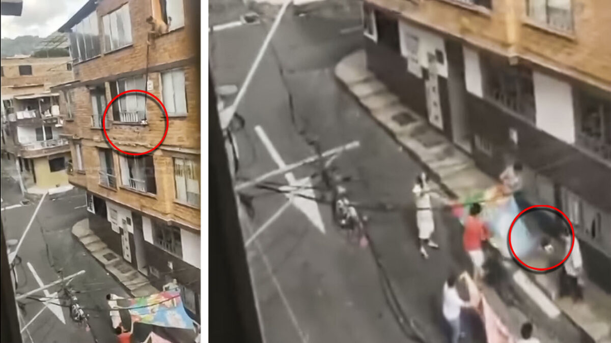 EN VIDEO: Conmovedor rescate de gatico atrapado en una ventana 10 EN VIDEO: Conmovedor rescate de gatico atrapado en una ventana La comunidad unió fuerzas para rescatar a un gatico atrapado en la ventana de un apartamento.