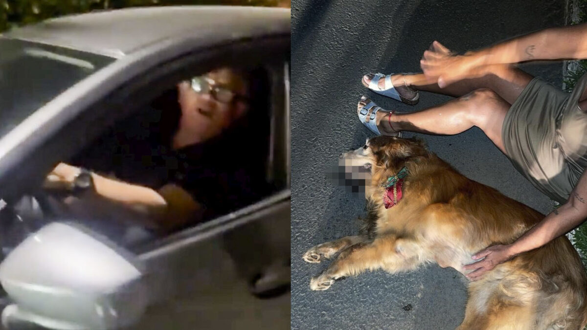 EN VIDEO: Indignación por hombre que atropelló a mascota y se fugó En video quedó registrado el momento en el que un hombre atropella a un perrito y se da a la fuga. La excusa del sujeto para no responder por el reprochable acto ha causado indignación en redes sociales.