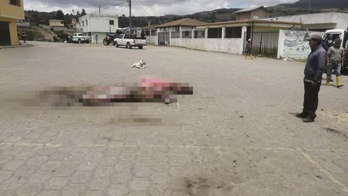 EN VIDEO: Queman vivos a dos hombres que intentaron robar y matar a una mujer embarazada En redes sociales está circulando un video que deja ver el perturbador momento en el que la comunidad lincha a dos sujetos que, al parecer, intentaron robar y matar a una mujer embarazada, por eso, enfurecidos, les arrojan gasolina para quemarlos vivos.