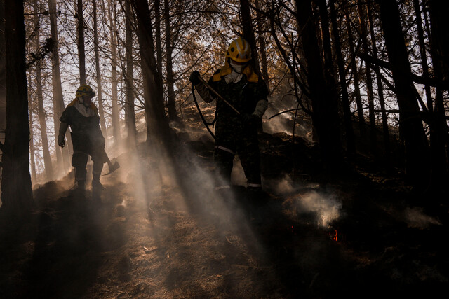 Reportan nuevo incendio en el cerro El Cable  Los incendios en Bogotá cumplen una semana de propagación, afectación a la calidad del aire y perjuicios para la fauna y flora de los cerros de la ciudad. Ante la emergencia que no termina, el alcalde Carlos Fernando Galán entregó un nuevo balance.