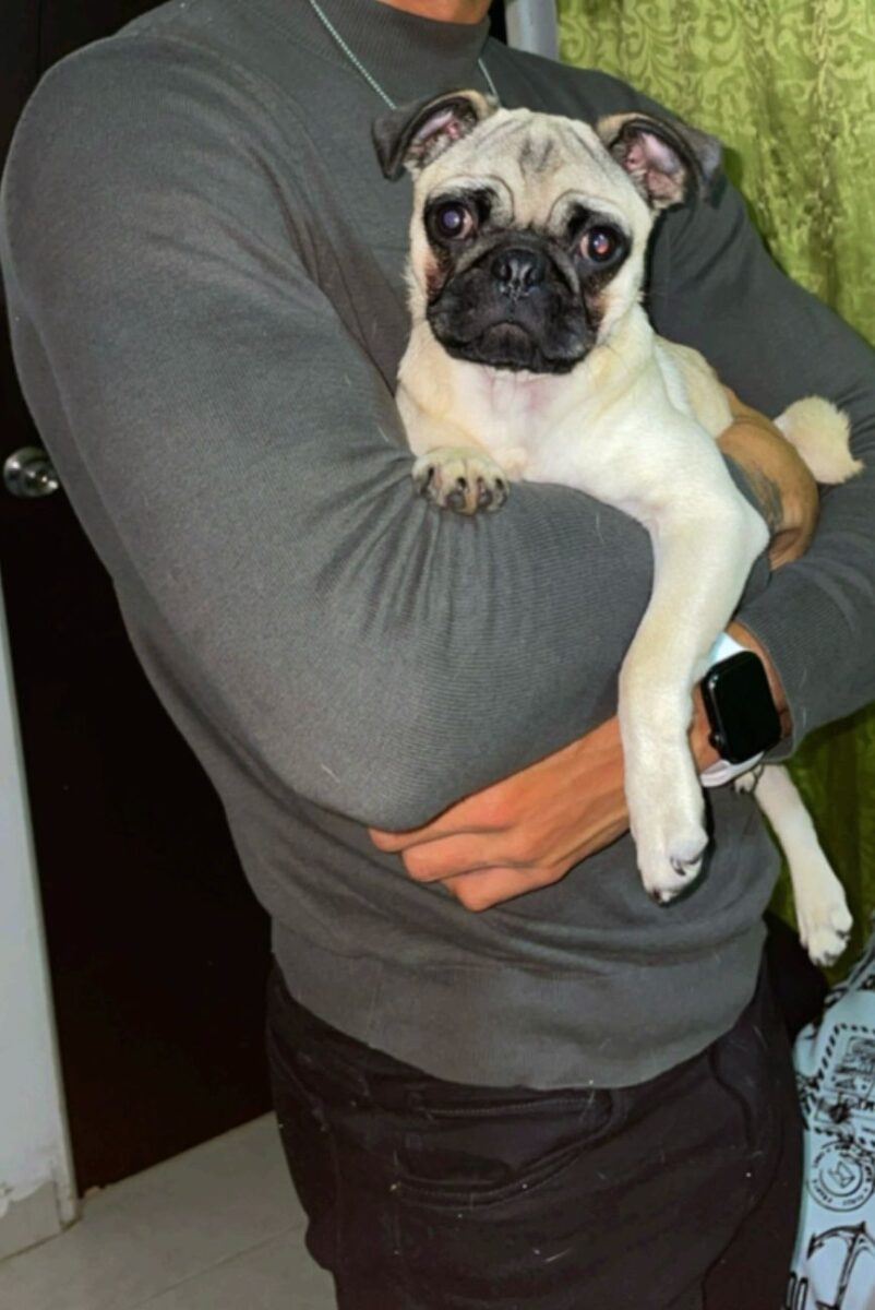 Joven fue drogado y robado en Kennedy: se le llevaron hasta el perro 1 Joven fue drogado y robado en Kennedy: se le llevaron hasta el perro Recientemente, se conoció el caso de un joven que fue víctima de la delincuencia luego de utilizar una aplicación de citas. Según cuentan los amigos de este, quienes viven con él, encontraron a la víctima inconsciente dentro de la vivienda en donde reside y sin varias de sus pertenencias.