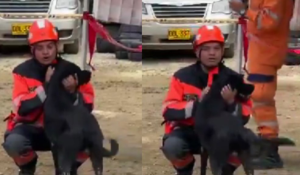 Conmovedor: rescatan a perrito sepultado por los escombros en Chocó 1 Conmovedor: rescatan a perrito sepultado por los escombros en Chocó En medio de la desolación que dejó la reciente tragedia en Chocó, un perrito fue rescatado este domingo, luego de haber pasado dos días bajo el lodo y los escombros, convirtiéndose así en un motivo de esperanza para encontrar con vida a las personas que aún permanecen desaparecidas.
