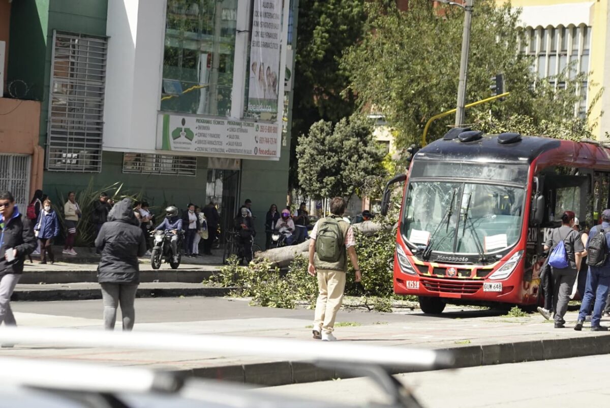 ¡Última hora! Estación de TransMilenio detiene funcionamiento por la caída de un árbol A esta hora se presentan afectaciones de movilidad sobre la Avenida Caracas debido a la caída de un árbol sobre un articulado de TransMilenio.