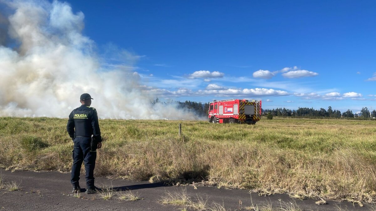 incendios
