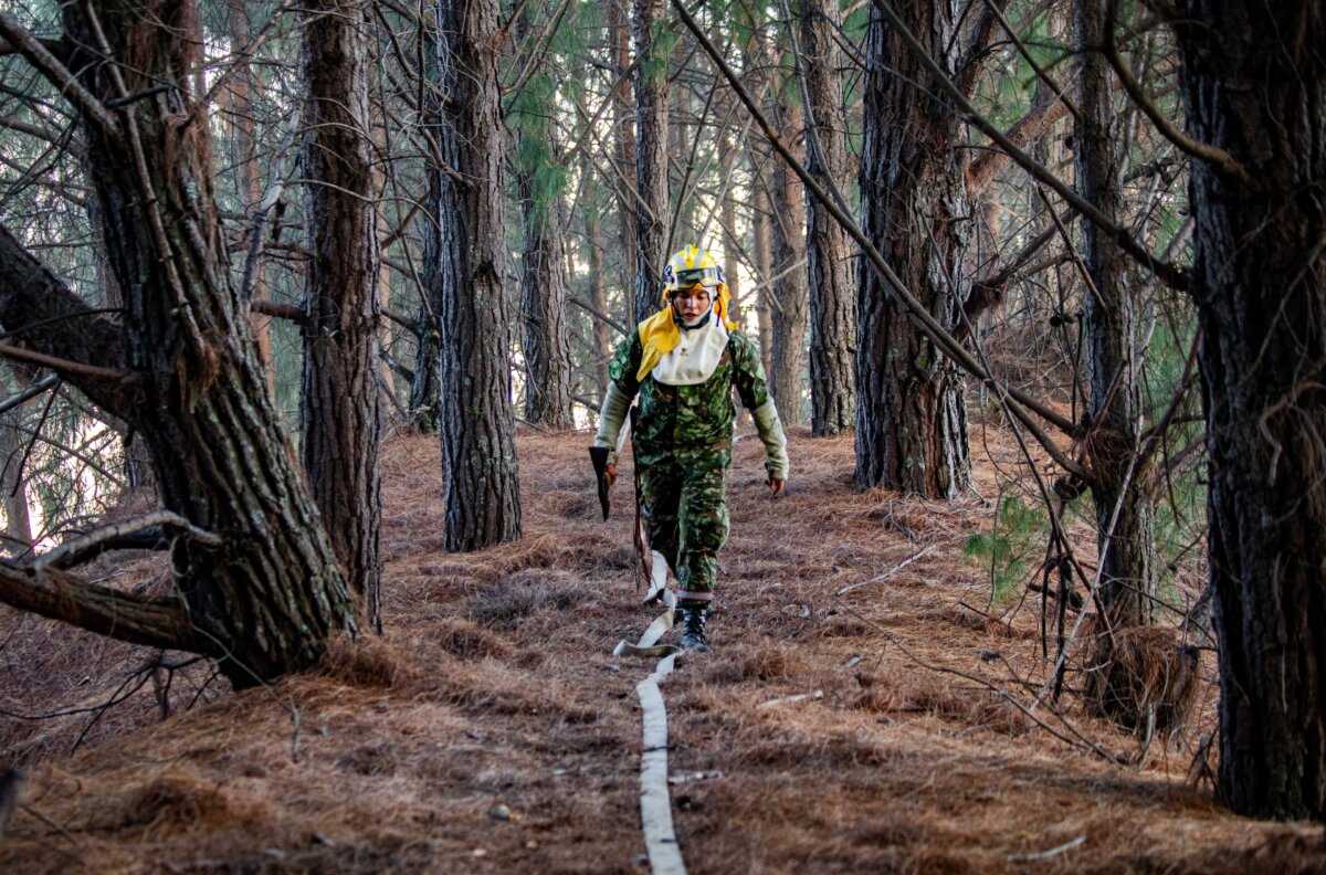 Gobierno expedirá decreto de desastre natural para atender incendios 1 Gobierno expedirá decreto de desastre natural para atender incendios El presidente, Gustavo Petro, anticipó que se publicará un decreto de desastre natural con el fin de mover recursos y atender la emergencia, al referirse a los incendios que azotan a distintas zonas del país.