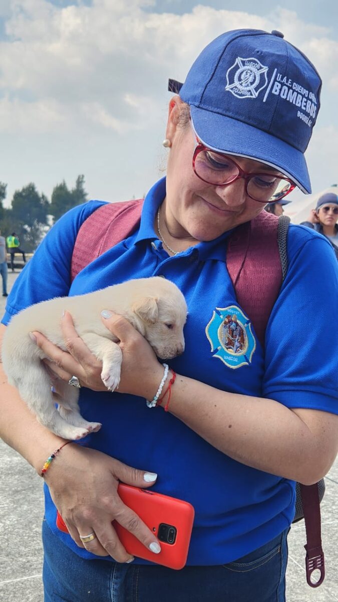 Rescatan a 16 perritos que se encontraban en el cerro El Cable Recientemente se dio a conocer el rescate de 16 cachorros que se encontraban en el cerro El Cable, muy cerca de la zona donde se presenta una fuerte conflagración.