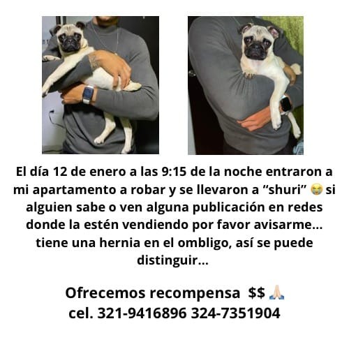 Joven fue drogado y robado en Kennedy: se le llevaron hasta el perro 2 Joven fue drogado y robado en Kennedy: se le llevaron hasta el perro Recientemente, se conoció el caso de un joven que fue víctima de la delincuencia luego de utilizar una aplicación de citas. Según cuentan los amigos de este, quienes viven con él, encontraron a la víctima inconsciente dentro de la vivienda en donde reside y sin varias de sus pertenencias.