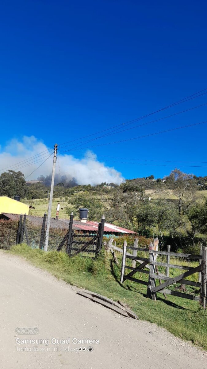 Se reporta fuerte incendio en Subachoque En este momento se presenta un fuerte incendio forestal en el municipio de Subachoque, a pocos metros de unas fincas lujosas.