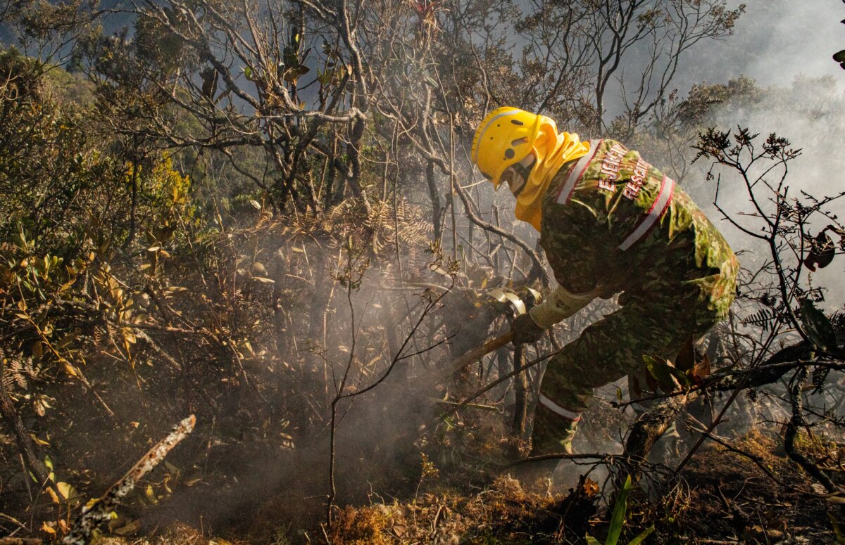 ¿Incendios provocados? Van más de 20 capturas por estos hechos 1 ¿Incendios provocados? Van más de 20 capturas por estos hechos Colombia sigue luchando contra las altas temperaturas producto del Fenómeno del Niño, sumado la ola de incendios que tiene a las autoridades en máxima alerta y exigiendo todas sus capacidades para que las llamas no sigan arrasando con todo a su paso.