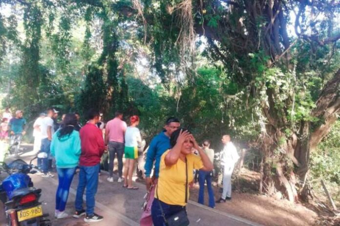 ¡Infame! Sujeto mató y colgó a sus 2 hijos en un árbol El hombre habría raptado a los niños de la casa de la abuela materna, para pasar con ellos Fin de Año.