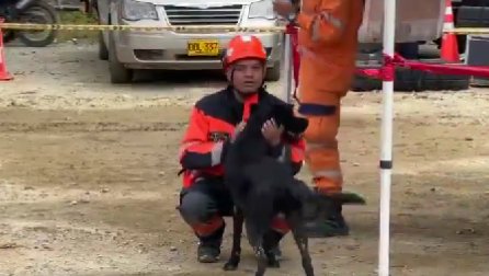 Conmovedor: rescatan a perrito sepultado por los escombros en Chocó 1 Conmovedor: rescatan a perrito sepultado por los escombros en Chocó En medio de la desolación que dejó la reciente tragedia en Chocó, un perrito fue rescatado este domingo, luego de haber pasado dos días bajo el lodo y los escombros, convirtiéndose así en un motivo de esperanza para encontrar con vida a las personas que aún permanecen desaparecidas.