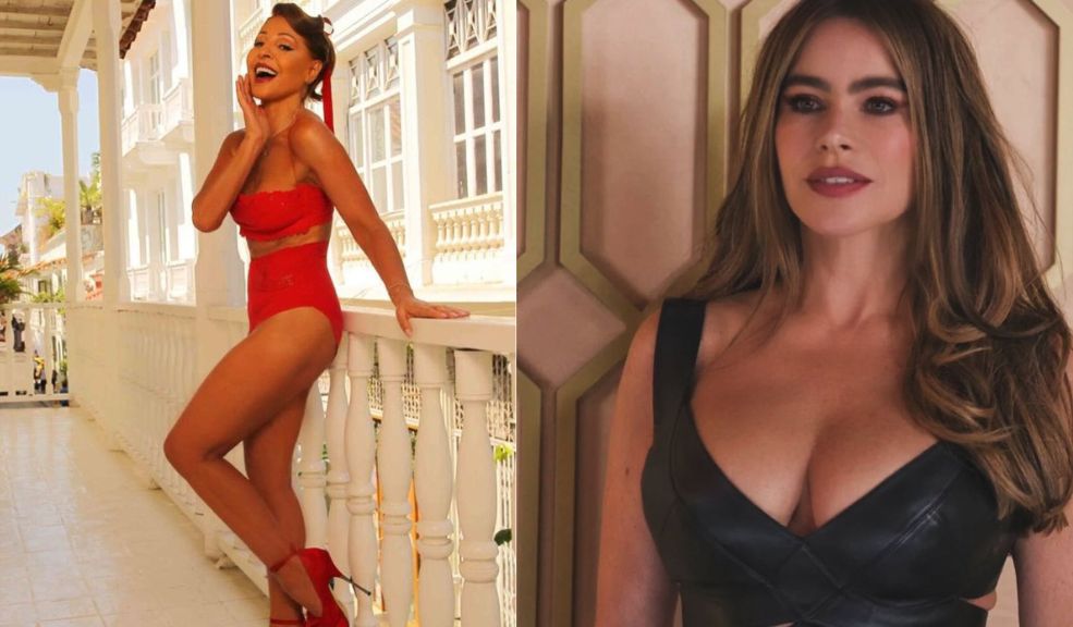 La molestia de Amparo Grisales por comparación con Sofía Vergara 3 La molestia de Amparo Grisales por comparación con Sofía Vergara Recientemente se volvió tendencia un video en el que le pregunta a Amparo Grisales por Sofía Vergara y se le nota la molestia.