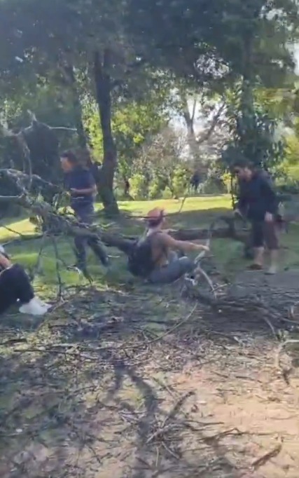 ¡Atención! Árbol le cayó a un grupo de personas que veía el incendio en los cerros orientales En la tarde de este miércoles, varias personas resultaron heridas mientras veían como transcurría un incendio en los cerros de Bogotá, pues un árbol terminó cayéndoles encima.