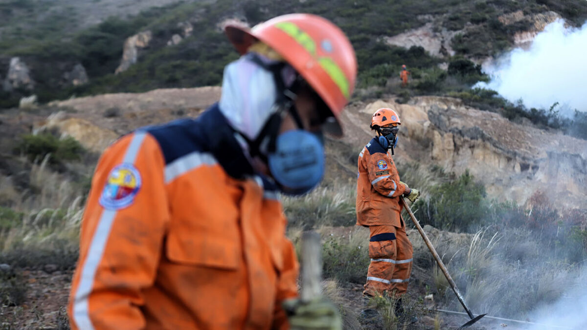 ¿Cómo recuperar los ecosistemas luego de que se extingan los incendios? 5 ¿Cómo recuperar los ecosistemas luego de que se extingan los incendios? Esto es lo que se debe hacer para recuperar las hectáreas afectadas por cuenta de los incendios forestales.