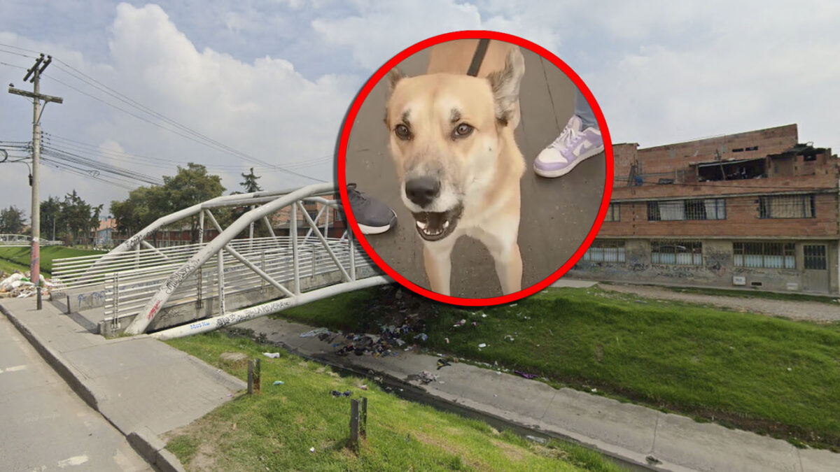 Aberrante denuncia de abuso sexual a perrito en Patio Bonito Una grave denuncia de maltrato animal se conoció recientemente en la localidad de Kennedy, en el sector de Patio Bonito, donde los dueños de un perrito manifiestan que su mascota fue abusada sexualmente.