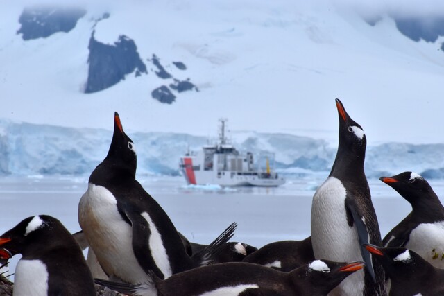 Armada colombiana completó su décima expedición en la Antártica 2 Armada colombiana completó su décima expedición en la Antártica Culminó la décima expedición Antártica realizada por la Armada colombiana, que esta vez remontó 8.500 millas náuticas hasta llegar al 'Continente Blanco' en el buque de investigación científica marina ARC 'Simón Bolívar', de fabricación local, que llevaba a bordo 95 tripulantes.