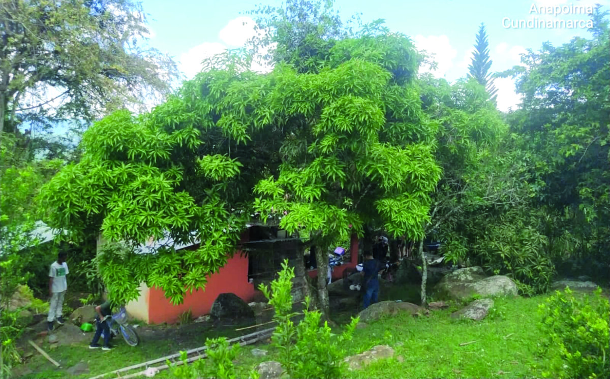 Así cayó el 'Asesino de Anapoima' 1 Así cayó el 'Asesino de Anapoima' En las últimas horas, la Policía de Cundinamarca capturó a alias el ‘Asesino de Anapoima’, quien era buscado por los delitos de homicidio, acceso carnal violento agravado y hurto calificado.