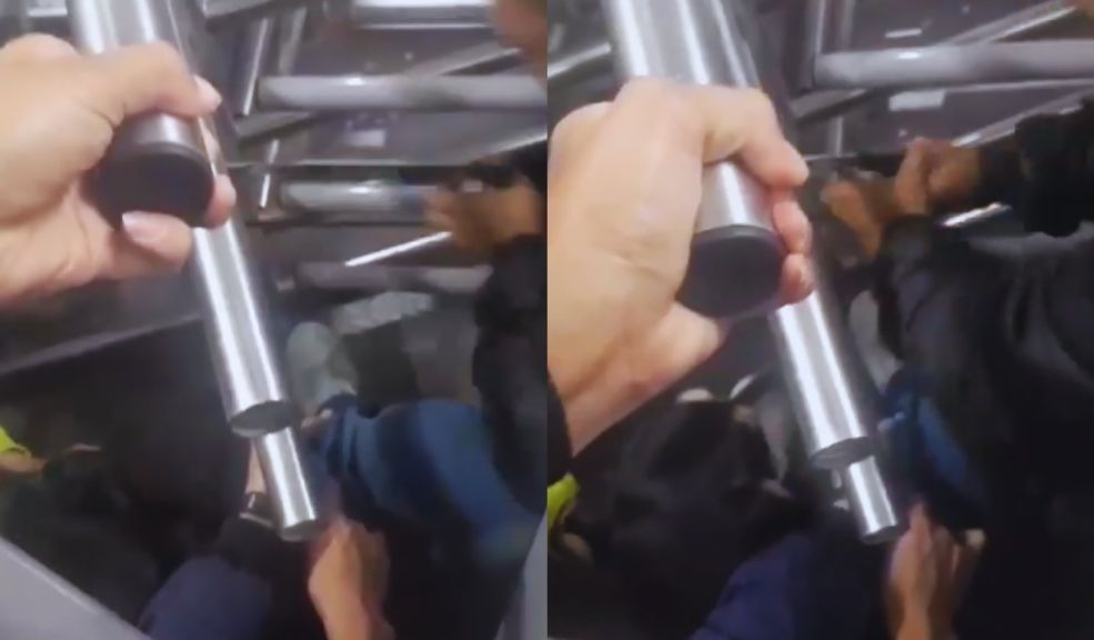 Así rescataron a una perrita que quedó atrapada en los torniquetes anticolados de TransMilenio Una perrita estuvo atrapada por al menos una hora en una puerta anticolados de una estación de TransMilenio. Según la dueña de la mascota, no recibieron ayuda y su esposo tuvo que cortar un barrote de la puerta. Ante esto, un funcionario del Sistema presuntamente le exigió pagar una multa por "daño a bien ajeno".