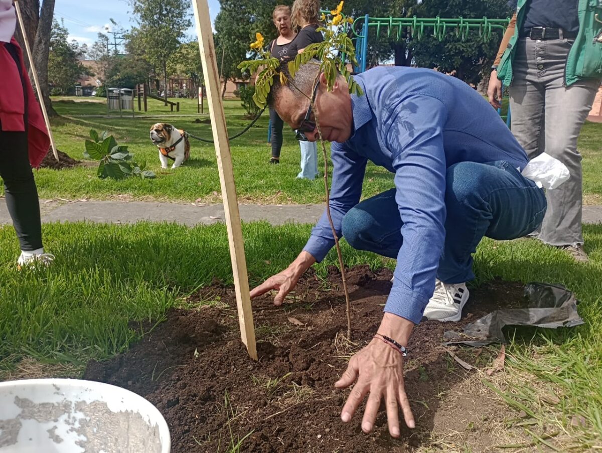 Así van a recuperar los cerros Ver arder a nuestra amada Bogotá varios días seguidos, encendió la chispa en los capitalinos de querer ayudar y contribuir en recuperar los ecosistemas; sin embargo, no es momento de plantar árboles para recuperar la vegetación. Le contamos por qué esperar para sembrar también es ayudar. 