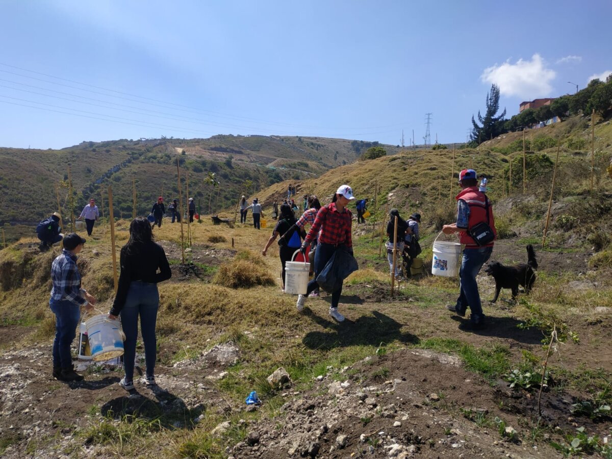 Así van a recuperar los cerros Ver arder a nuestra amada Bogotá varios días seguidos, encendió la chispa en los capitalinos de querer ayudar y contribuir en recuperar los ecosistemas; sin embargo, no es momento de plantar árboles para recuperar la vegetación. Le contamos por qué esperar para sembrar también es ayudar. 