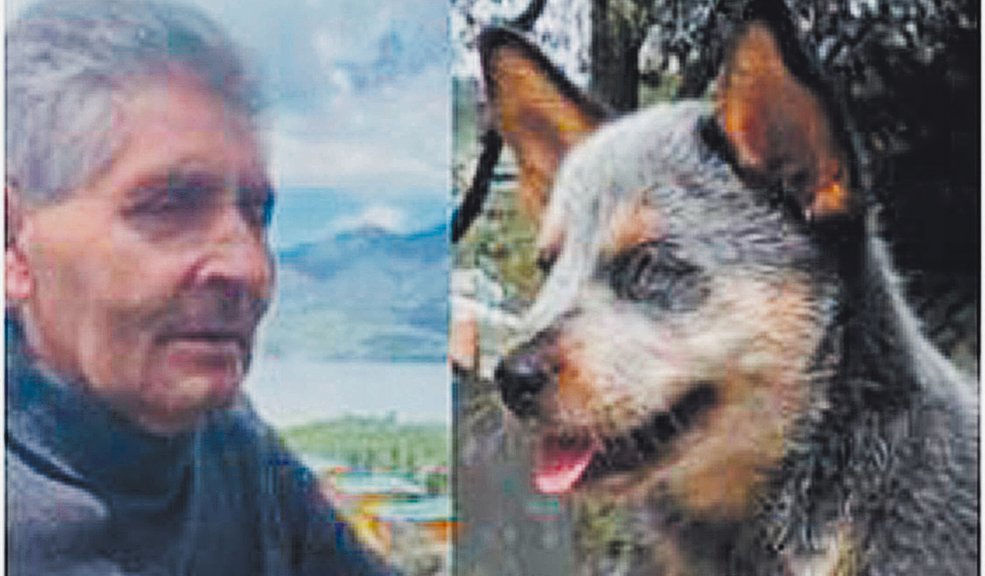Conmoción por accidente en el que adulto mayor y su perro fueron arrollados A tempranas horas del lunes en el barrio Cedritos Capri (Usaquén) se registró un terrible accidente de tránsito en el que el conductor de un vehículo embistió a un adulto mayor y a su perrito, de 8 meses, al que había sacado a pasear. Lastimosamente el canino murió por el impacto y el hombre permanece en un centro de salud.