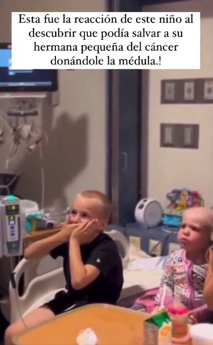 EN VIDEO: La emotiva reacción de un niño al enterarse que puede ser el donante de su hermana con cáncer En los últimos días se hizo viral en las redes sociales un video de un niño que expresa su felicidad al enterarse que puede ser el salvador de su hermana menor, la cual sufre de cáncer.