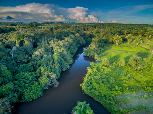 Naturaleza 2 Naturaleza Lorem ipsum dolor sit amet, consectetur adipiscing elit, sed do eiusmod tempor incididunt ut labore et dolore magna aliqua. Ut enim ad minim veniam