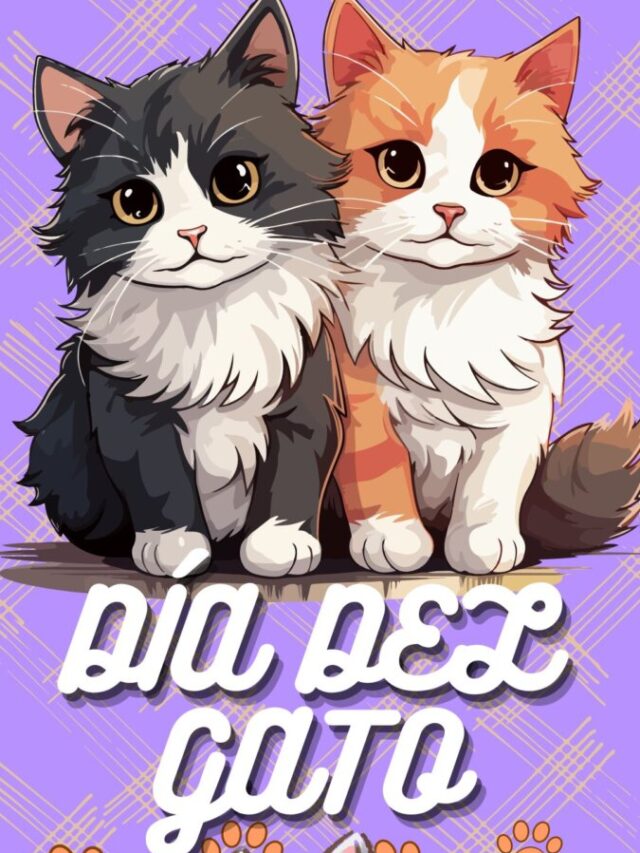 Copia de web story de los gatos