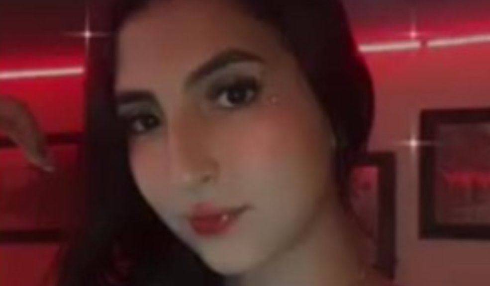 El violento audio que deja al descubierto el maltrato al que era sometida Laura Lopera por su novio En las últimas horas se conoció un audio que el ciudadano canadiense, novio de Laura Lopera, le había enviado antes de su desaparición.