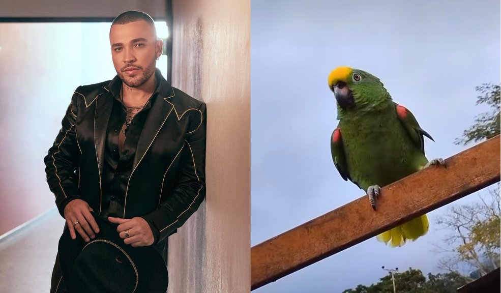 "¡Repítelas!": lora se hace famosa por cantar canciones de Jessi Uribe Una lora llamada Lore se hizo viral luego que el artista santandereano compartiera en sus redes el video que enterneció a sus seguidores.