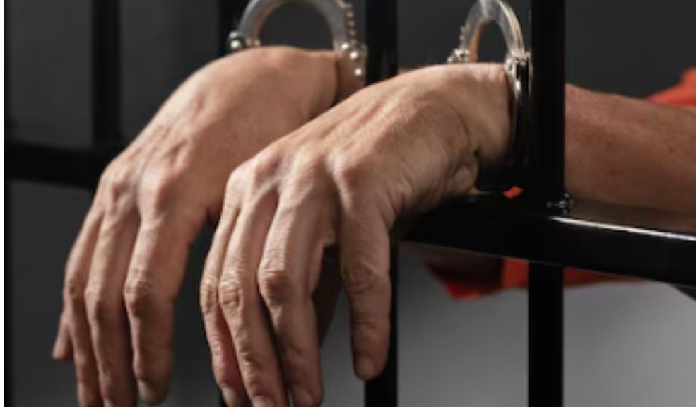 Capturan a alias 'Gocho', presunto jefe de sicarios de 'Los Satanás' La Fiscalía General de la Nación logró la captura de alias 'Gocho', señalado de ser el presunto jefe de sicarios de la estructura delictiva 'Los Satanás'. El delincuente presuntamente participó en el atentado a un frigorífico de Kennedy en el que murieron 2 personas.