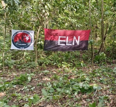 Capturan a presunto miembro del Eln que intentaba huir a Venezuela La Fiscalía General de la Nación informó la captura de Wilman Hernández Quevedo, alias 'Tribi', presunto cabecilla del Eln.