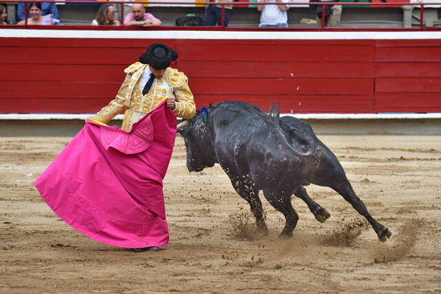 Colombia se acerca a tener legislación que prohíbe las corridas de toros Tras algunos aplazamientos, este miércoles la Comisión Sexta de la Cámara de Representantes le dio el aval al proyecto de ley con el cual Colombia llegaría tener una legislación con la cual se prohibirá en su territorio las corridas de toros.