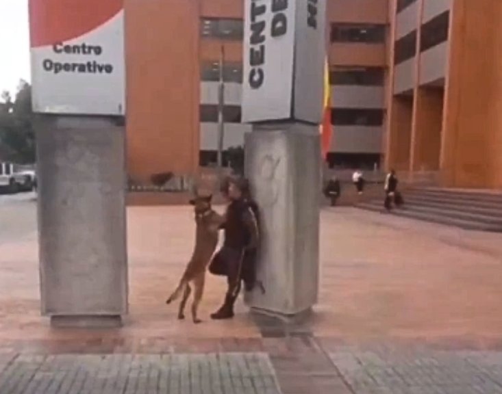 Conmovedor video de guardia y perrito: se abrazan 1 Conmovedor video de guardia y perrito: se abrazan El trabajo de este guardia de seguridad es más ameno con la compañía de un perrito que lo abraza.
