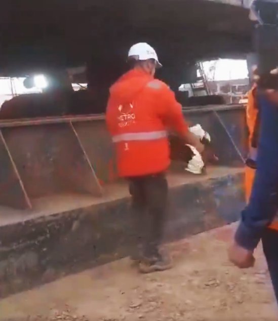 Denuncian a trabajadores que matan gallina en obra del Metro 1 Denuncian a trabajadores que matan gallina en obra del Metro Un indignante hecho de maltrato animal se viralizó recientemente en redes sociales, en donde se ve a un trabajador del Metro Bogotá rociar sangre de una gallina a una estructura de la construcción.