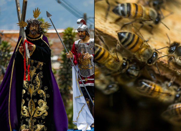 EN VIDEO: Enjambre de abejas atacó a feligreses en pleno vía crucis El ataque repentino, que quedó registrado en video, provocó que los feligreses corrieran del lugar, agitando sus manos en un intento desesperado por alejar a las abejas, por lo que la procesión se vio interrumpida