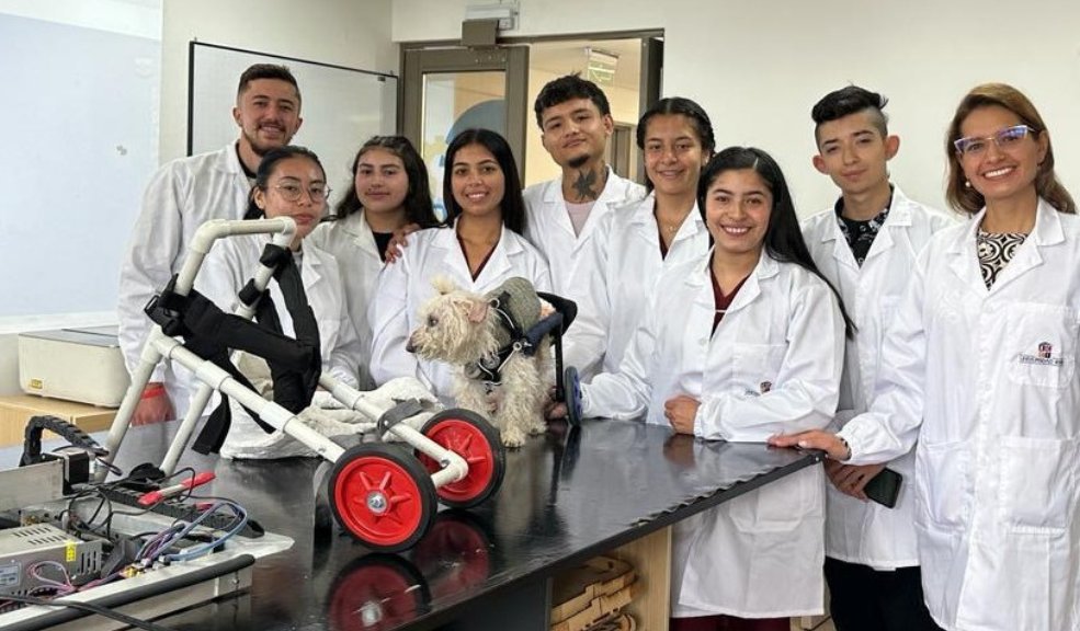 Estudiantes crean prótesis especializadas para animales con discapacidad 2 Estudiantes crean prótesis especializadas para animales con discapacidad Estudiantes universitarios se unieron para crear prótesis especializadas para peluditos, con el fin de brindarles una mejor calidad de vida.