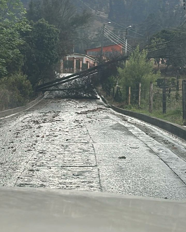 Impactantes imágenes del vendaval que azotó a Jenesano esta Semana Santa 2 Impactantes imágenes del vendaval que azotó a Jenesano esta Semana Santa En la tarde de este Jueves Santo se registró una fuerte tormenta en el municipio de Jenesano, departamento de Boyacá. La emergencia climática dejó a su paso estructuras destruidas, árboles caídos y conmoción entre los habitantes.