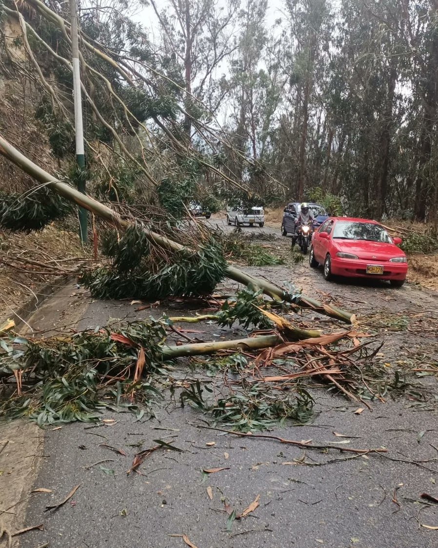 Impactantes imágenes del vendaval que azotó a Jenesano esta Semana Santa 1 Impactantes imágenes del vendaval que azotó a Jenesano esta Semana Santa En la tarde de este Jueves Santo se registró una fuerte tormenta en el municipio de Jenesano, departamento de Boyacá. La emergencia climática dejó a su paso estructuras destruidas, árboles caídos y conmoción entre los habitantes.