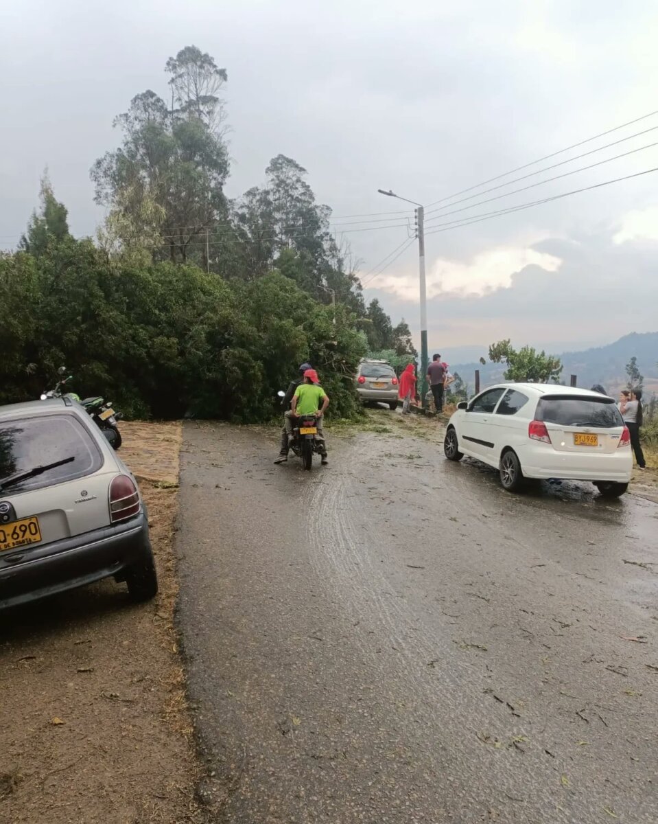 Impactantes imágenes del vendaval que azotó a Jenesano esta Semana Santa 3 Impactantes imágenes del vendaval que azotó a Jenesano esta Semana Santa En la tarde de este Jueves Santo se registró una fuerte tormenta en el municipio de Jenesano, departamento de Boyacá. La emergencia climática dejó a su paso estructuras destruidas, árboles caídos y conmoción entre los habitantes.