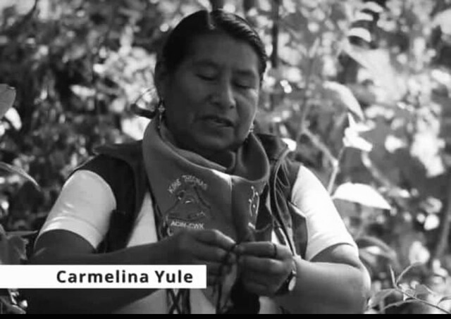 La lideresa Carmelina Yule fue la víctima fatal del ataque perpetrado por disidencias de las Farc Horas después de recibir un ataque armado por parte de miembros del autodenominado Estado Mayor Central (EMC), la mayora Carmelina Yule Paví falleció, pues la gravedad de las heridas causadas no le permitió continuar en vida.
