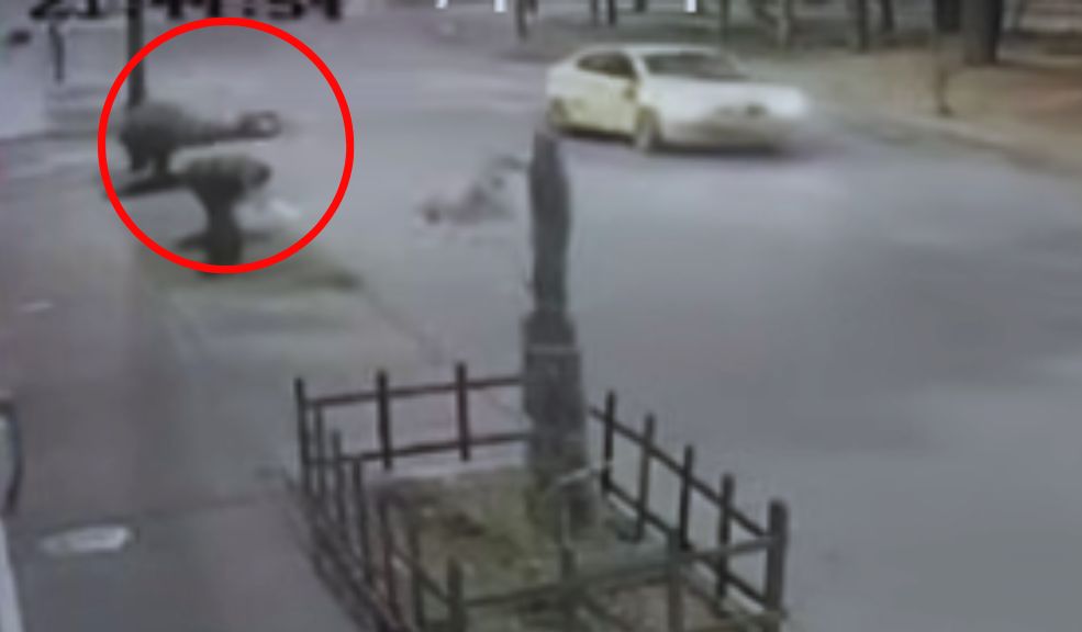 Taxista arrolló a joven ciclista y la dejó abandonada 2 Taxista arrolló a joven ciclista y la dejó abandonada La joven de 17 años se está debatiendo entre la vida y la muerte.