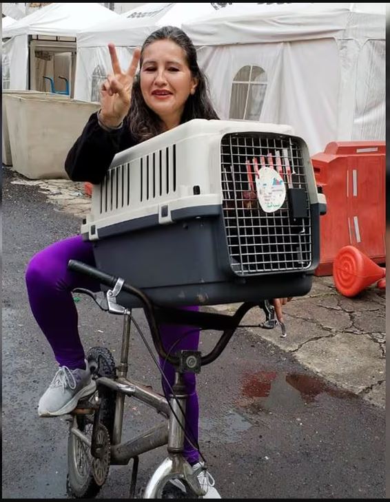 Capturan al presunto asesino de una líder animalista en Santa Fe 2 Capturan al presunto asesino de una líder animalista en Santa Fe En las últimas horas, la Fiscalía General de la Nación logró la identificación y judicialización del presunto asesino de la líder animalista Claudia Esther Ocampo Camacho, ocurrido el 26 de febrero de este año.