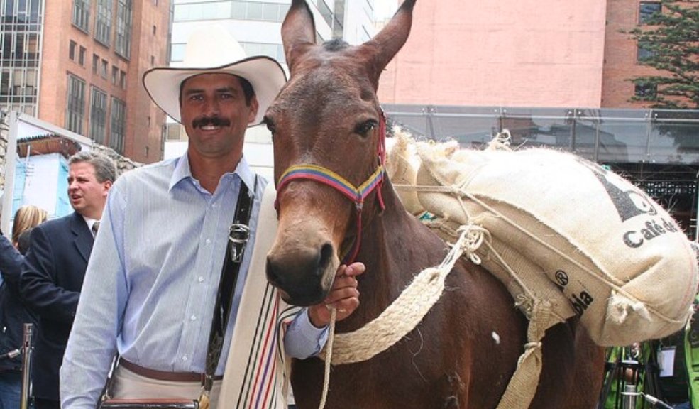Falleció Carlos Castañeda, la cara de Juan Valdez Este viernes se conoció el fallecimiento de Carlos Castañeda, el hombre reconocido por personificar a Juan Valdez.
