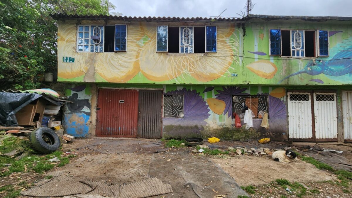 Muuuuuuuuuuchas vacas viven en una casa en San Cristóbal 1 Muuuuuuuuuuchas vacas viven en una casa en San Cristóbal En una vivienda del barrio San Rafael, en la localidad de San Cristóbal, hay una historia de no creer: una familia vive con 25 vacas dentro de una casa.