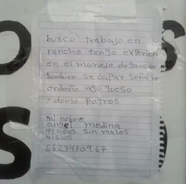 La hoja de vida que llevó al éxito total a un hombre 1 La hoja de vida que llevó al éxito total a un hombre Un hombre que estaba desempleado, logro recibir diferentes propuestas de trabajo gracias a esta ingeniosa y atrevida hoja de vida.