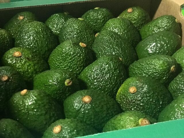 El aguacate nos puso de moda 3 El aguacate nos puso de moda El aguacate, una de las frutas que mejor acompaña el almuerzo en Colombia, nos tiene a poco de convertirnos en una potencia de exportación, a tal punto de competirle directamente a México y Brasil. Le contamos.