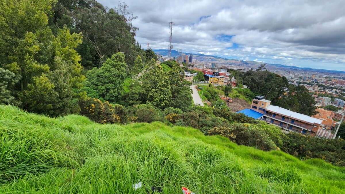 Hallan dos cuerpos sin vida en zona boscosa de Chapinero 8 Hallan dos cuerpos sin vida en zona boscosa de Chapinero Recientemente se reportó el hallazgo de dos hombres en una zona boscosa de Chapinero.