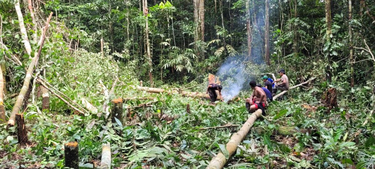 Informe de la Aerocivil revela cómo lograron sobrevivir los hermanos Mucutuy 3 Informe de la Aerocivil revela cómo lograron sobrevivir los hermanos Mucutuy La Aeronáutica Civil presentó un informe en donde reveló cuál fue la falla del avión que ocasionó el accidente y provocó que los hermanos Mucutuy se perdieran en una selva del Guaviare. Además, cuenta la travesía que tuvieron que atravesar los menores para sobrevivir.