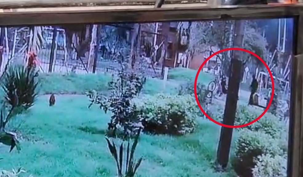 Revelan imágenes del momento en el que asesinan a joven en parque de Engativá Q’HUBO conoció de manera exclusiva el video de las cámaras de seguridad en el que quedó registrado este homicidio. Le contamos.